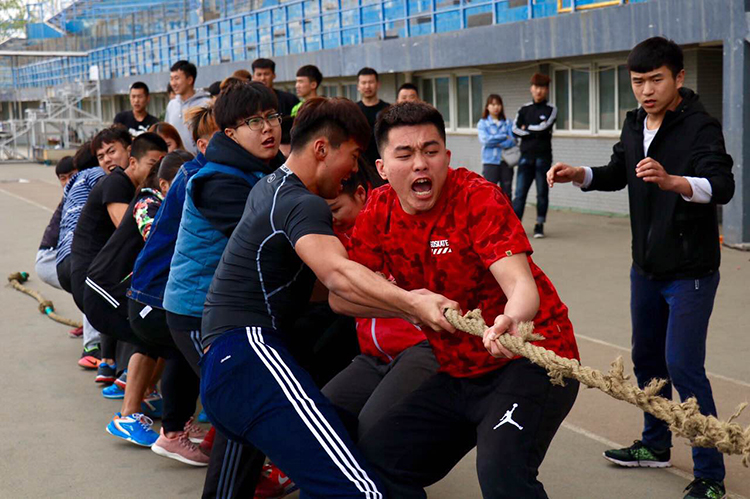 雅虎体育稳定线路图片